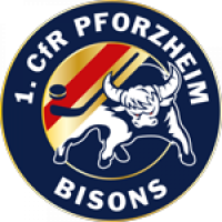 bisons logo 150