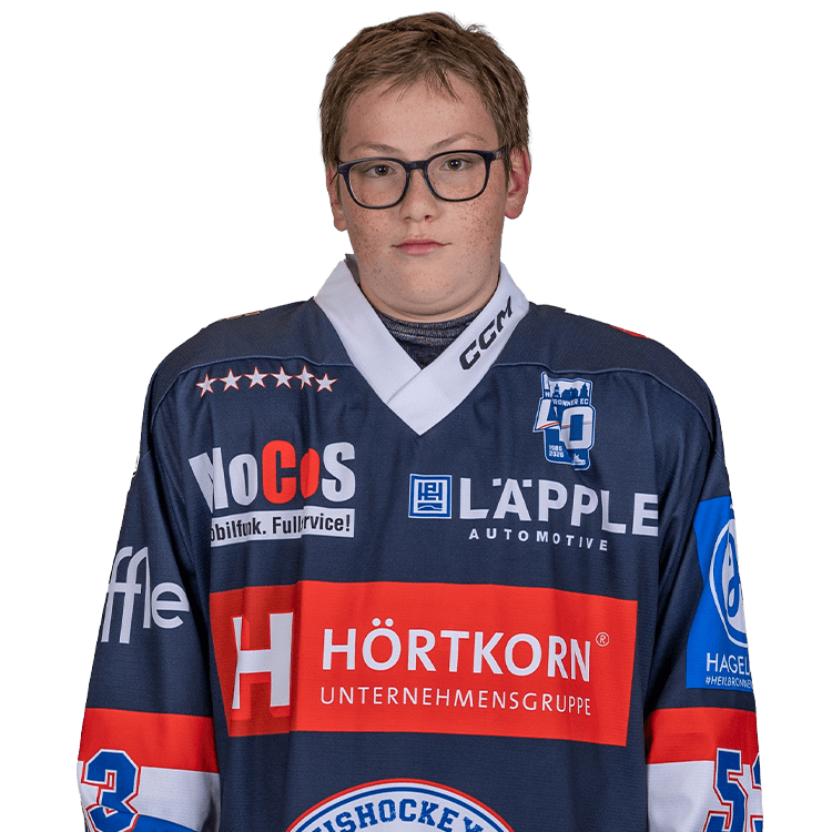 2011 tulin jan 2025 26