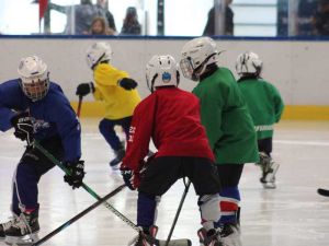 Falken Showtraining 2025 09